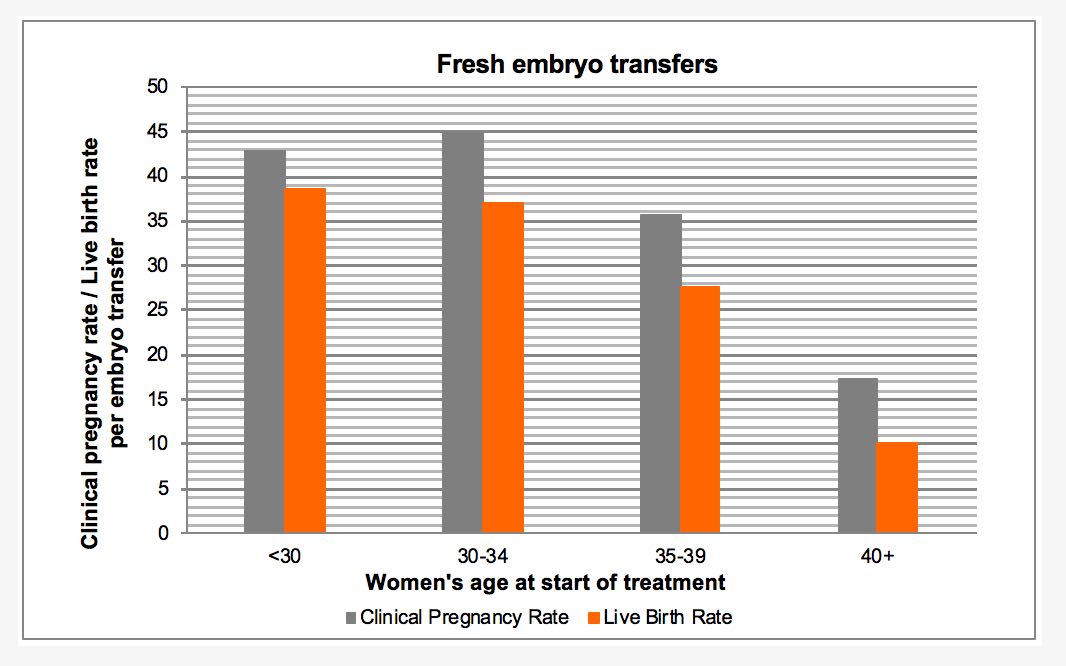 Fresh embryo transfer success rates