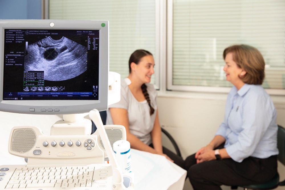 Doctor performing B mode ultrasonography